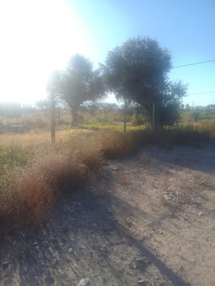 Terreno en Venta en Lujan de Cuyo, Mendoza