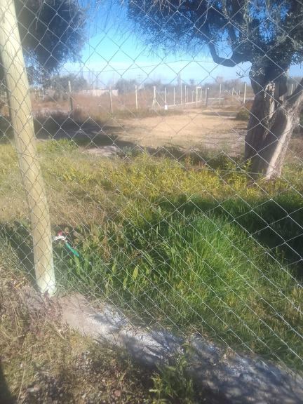 Terreno en Venta en Lujan de Cuyo, Mendoza