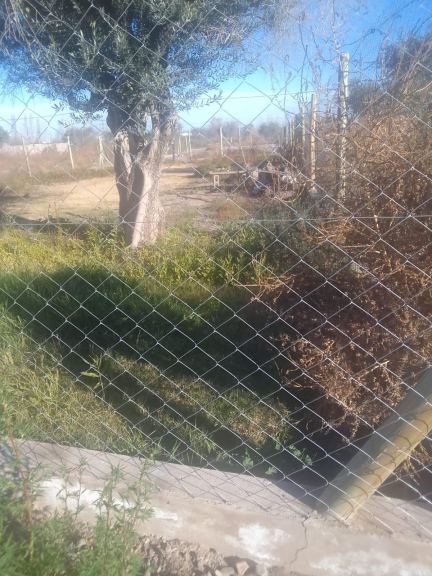 Terreno en Venta en Lujan de Cuyo, Mendoza