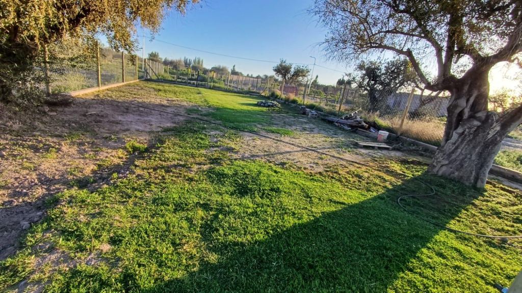 Terreno en Venta en Lujan de Cuyo, Mendoza