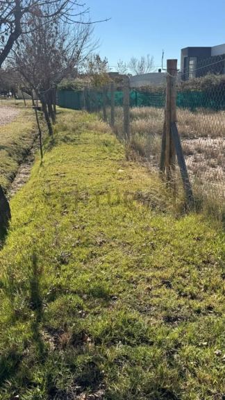 Terreno en Venta en Lujan de Cuyo, Mendoza