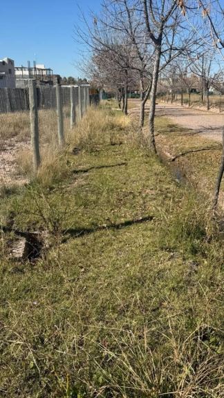 Terreno en Venta en Lujan de Cuyo, Mendoza