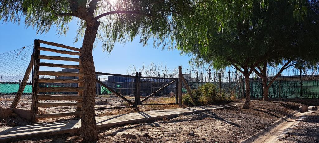Terreno en Venta en Lujan de Cuyo, Mendoza