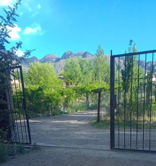 Terreno en Venta en Lujan de Cuyo, Mendoza