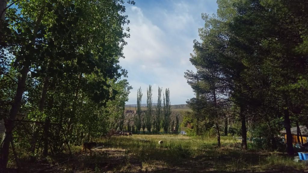 Terreno en Venta en Lujan de Cuyo, Mendoza