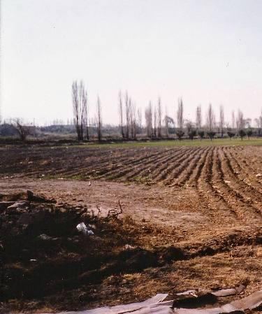 Finca en Venta en Lujan de Cuyo, Mendoza