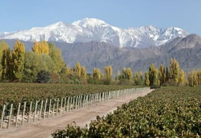 Finca en Venta en Lujan de Cuyo, Mendoza