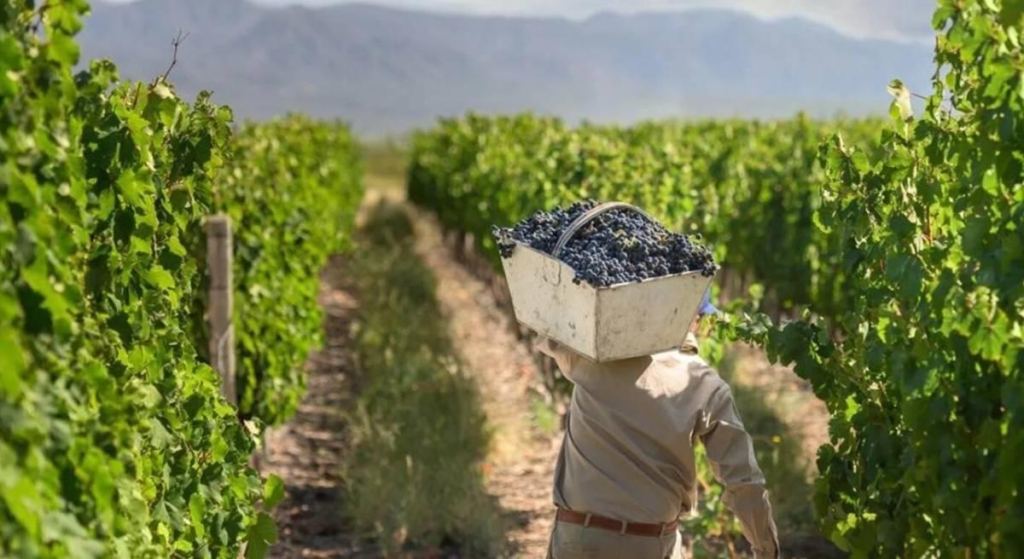 Finca en Venta en Lujan de Cuyo, Mendoza