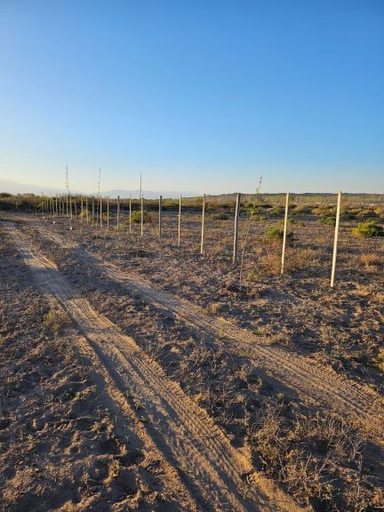 Lote en Venta en Lujan de Cuyo, Mendoza