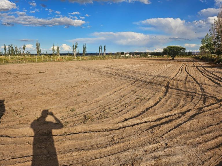 Lote en Venta en Lujan de Cuyo, Mendoza