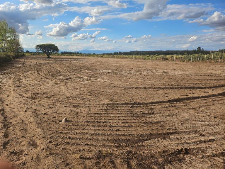 Lote en Venta en Lujan de Cuyo, Mendoza