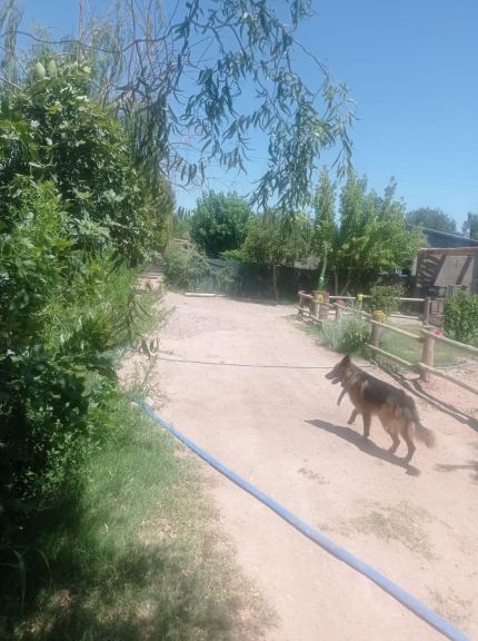 Casa en Venta en Guaymallen, Mendoza