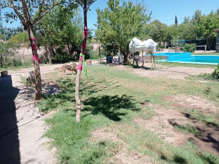 Casa en Venta en Guaymallen, Mendoza