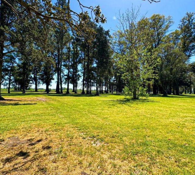 Terreno en Venta en General Rodriguez, G.B.A. Zona Oeste
