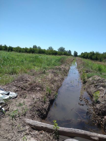Finca en Venta en General alvear, Mendoza