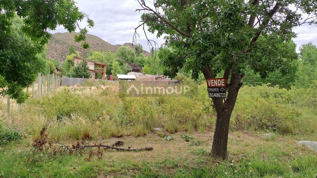 Lote en Venta en Tunuyan, Mendoza