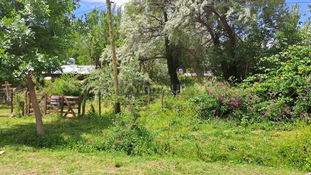 Lote en Venta en Tunuyan, Mendoza