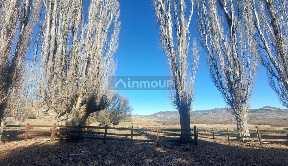 Campo en Venta en Alumine, Neuquen