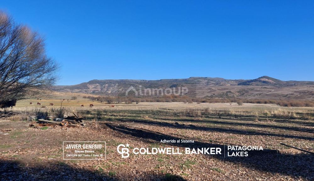Campo en Venta en Alumine, Neuquen