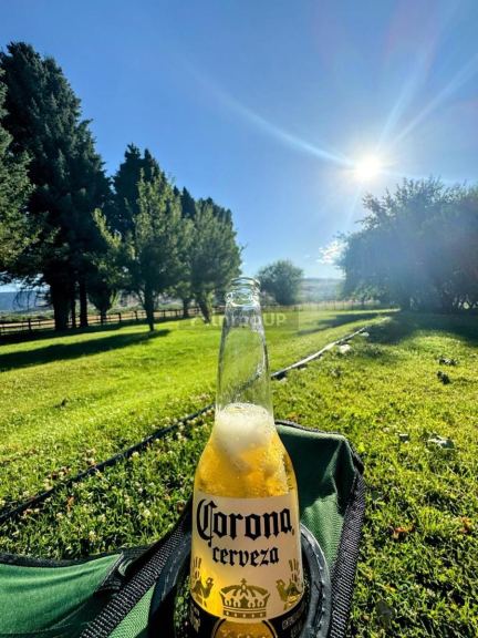 Campo en Venta en Alumine, Neuquen