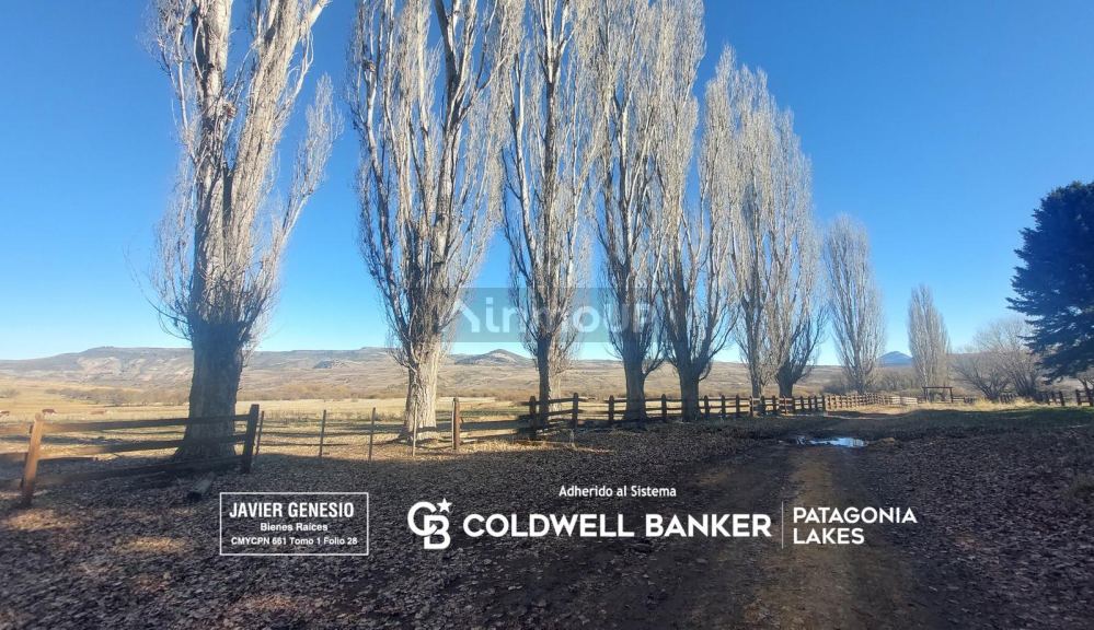 Campo en Venta en Alumine, Neuquen