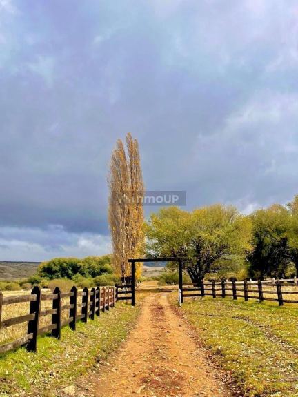 Campo en Venta en Alumine, Neuquen