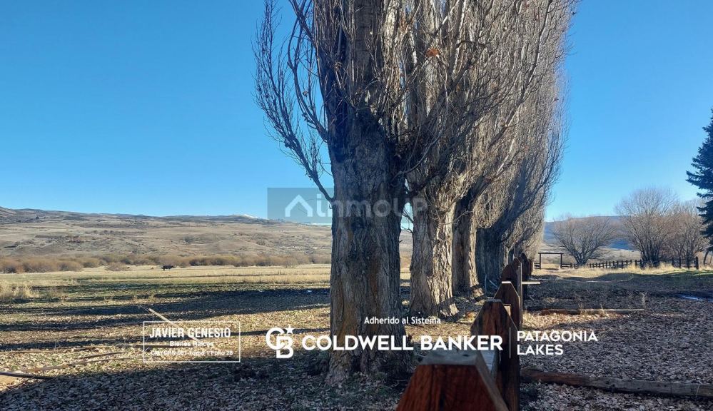 Campo en Venta en Alumine, Neuquen