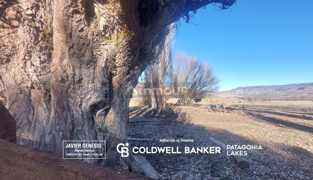 Campo en Venta en Alumine, Neuquen