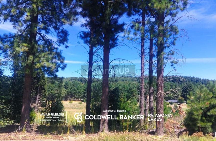 Terreno en Venta en Lacar, Neuquen