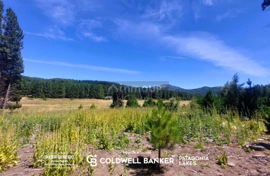 Terreno en Venta en Lacar, Neuquen
