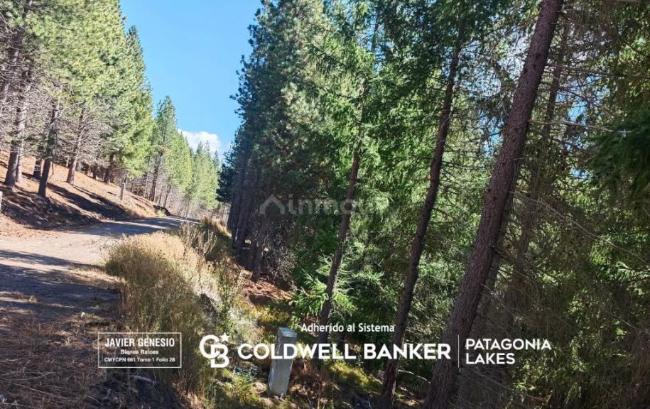 Terreno en Venta en Lacar, Neuquen