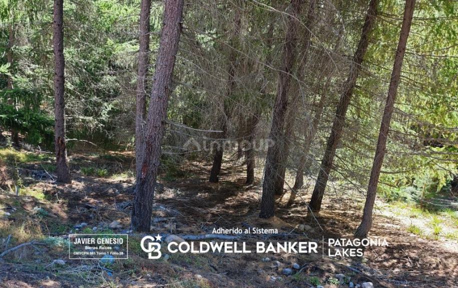 Terreno en Venta en Lacar, Neuquen