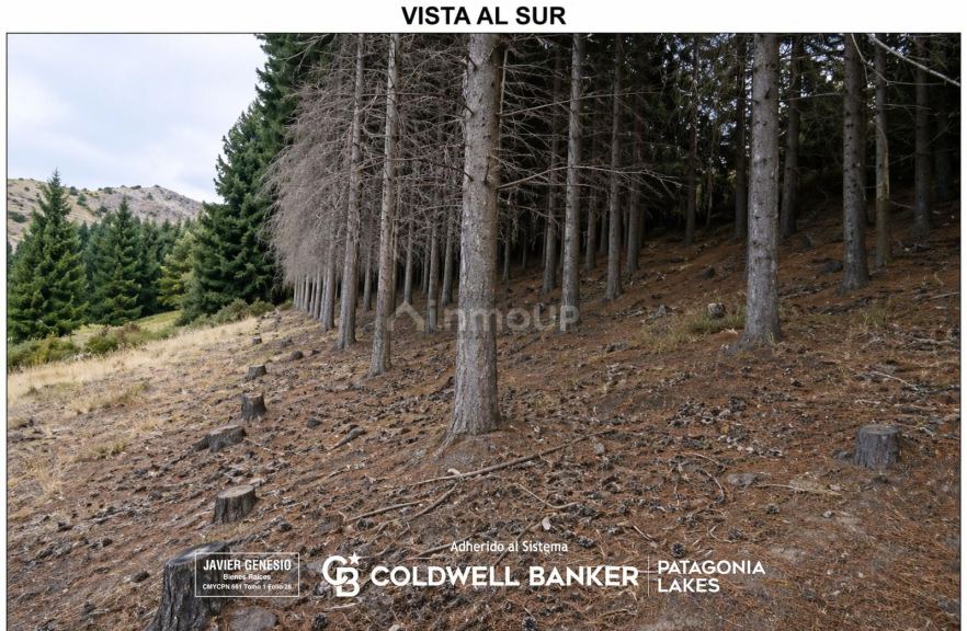 Terreno en Venta en Lacar, Neuquen