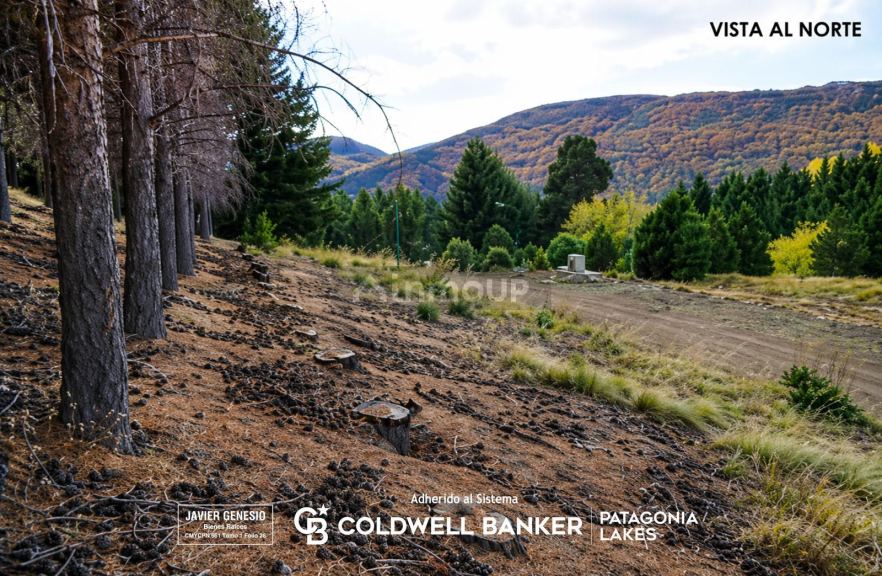 Terreno en Venta en Lacar, Neuquen