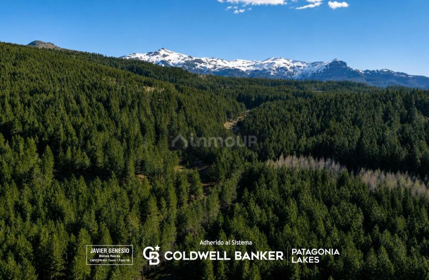 Terreno en Venta en Lacar, Neuquen