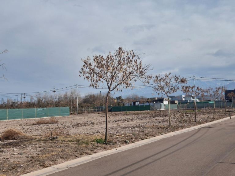 Lote en Venta en Lujan de Cuyo, Mendoza