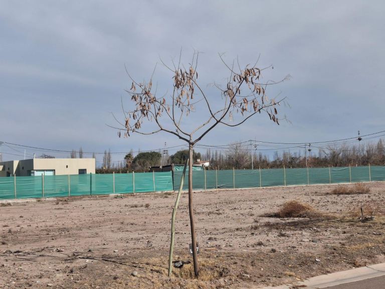 Lote en Venta en Lujan de Cuyo, Mendoza