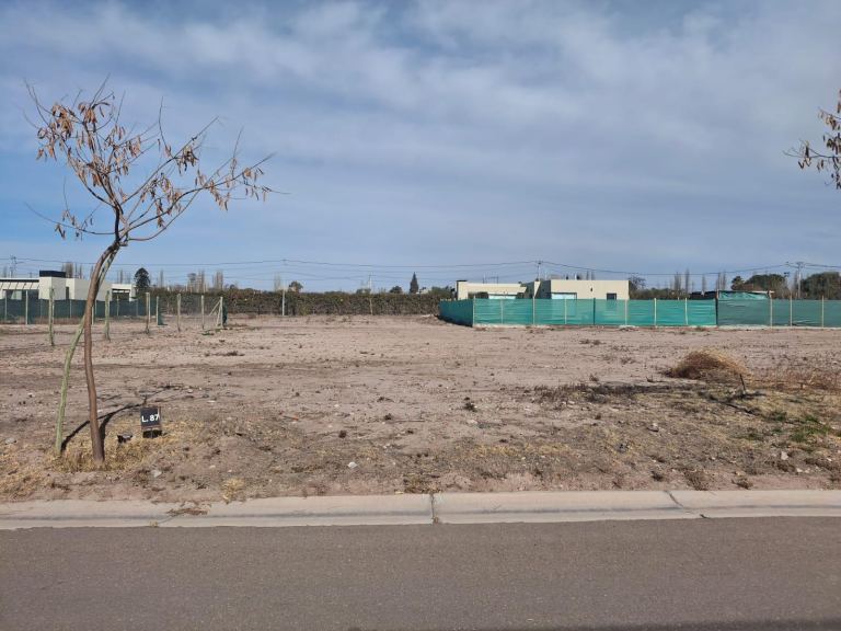 Lote en Venta en Lujan de Cuyo, Mendoza