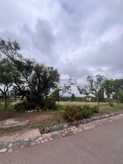 Lote en Venta en Lujan de Cuyo, Mendoza