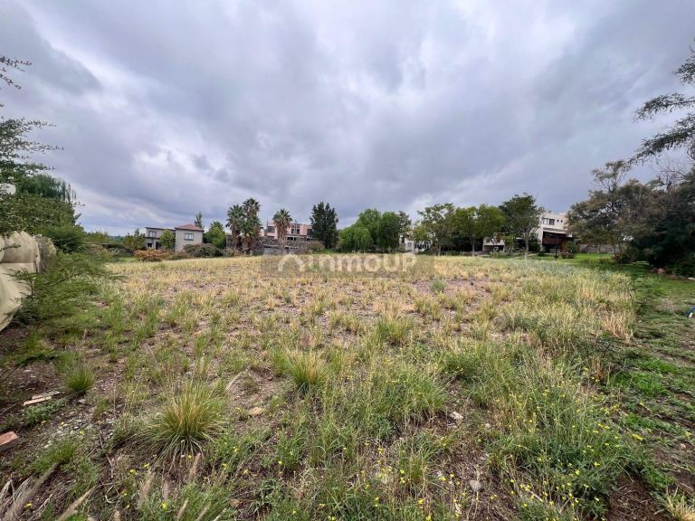 Lote en Venta en Lujan de Cuyo, Mendoza