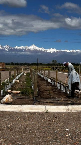 Lote en Venta en Tupungato, Mendoza