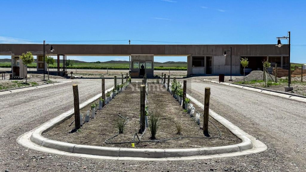 Lote en Venta en Tupungato, Mendoza