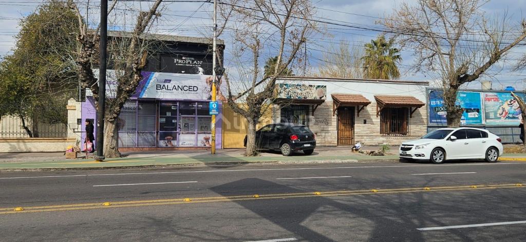 Terreno en Venta en Lujan de Cuyo, Mendoza