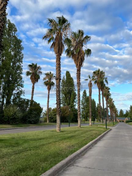 Lote en Venta en Maipu, Mendoza