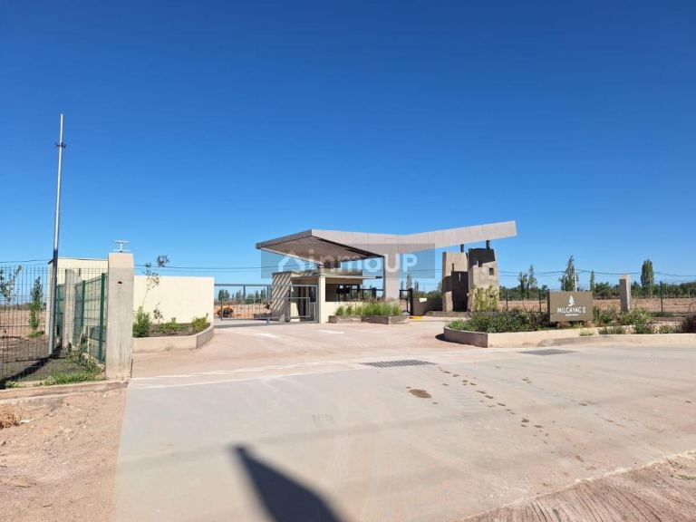 Lote en Venta en Lujan de Cuyo, Mendoza