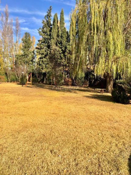 Casa en Alquiler en Lujan de Cuyo, Mendoza - USD 1.500 | Inmoup - 18