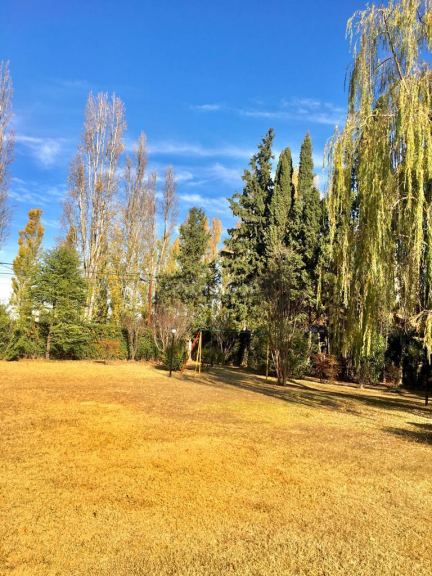 Casa en Alquiler en Lujan de Cuyo, Mendoza - USD 1.500 | Inmoup - 15
