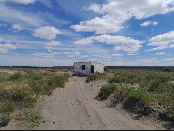 Campo en Venta en San Rafael, Mendoza