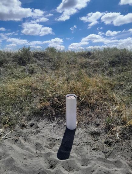 Campo en Venta en San Rafael, Mendoza