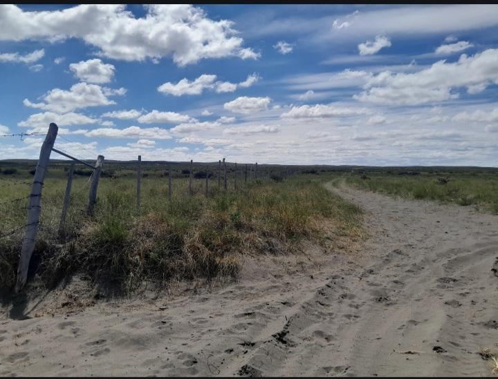 Campo en Venta en San Rafael, Mendoza